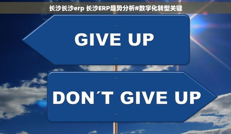 长沙长沙erp 长沙ERP趋势分析#数字化转型关键
