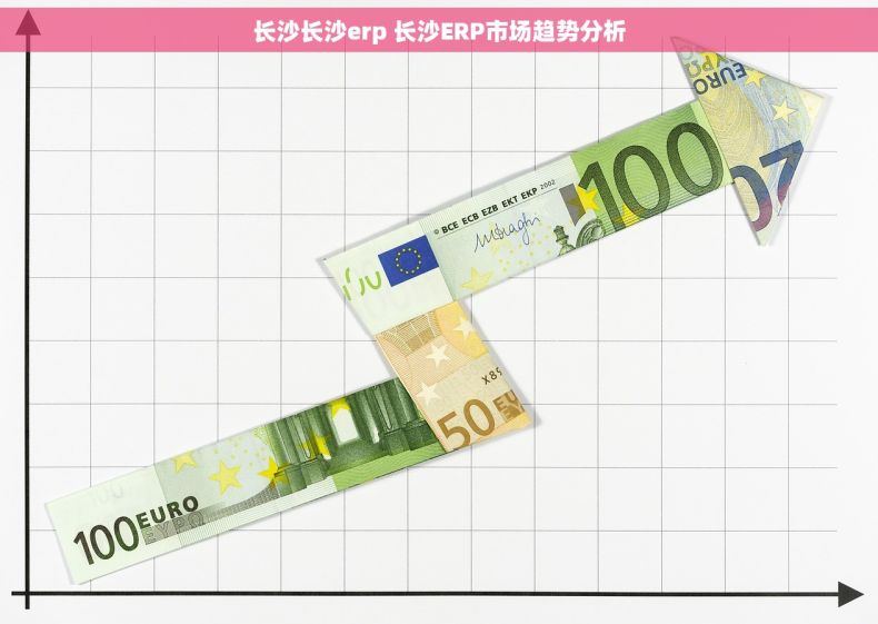 长沙长沙erp 长沙ERP市场趋势分析