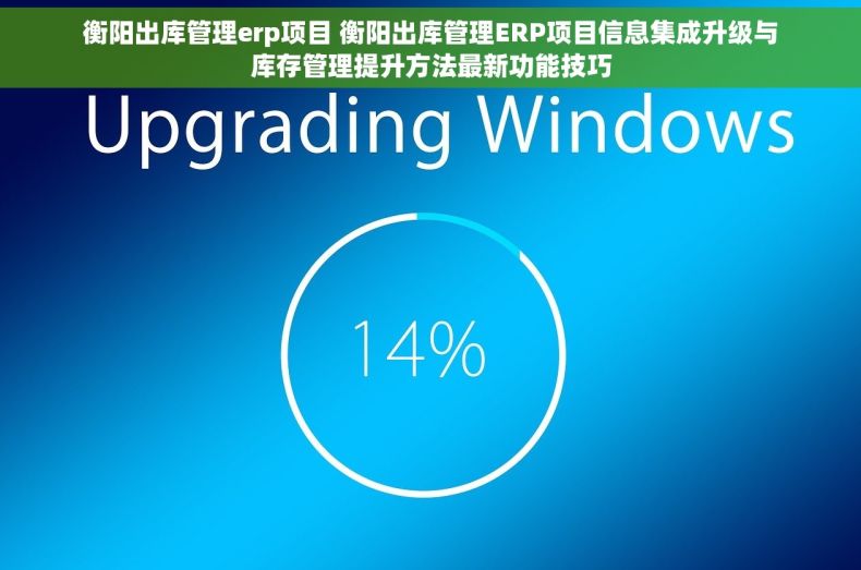 衡阳出库管理erp项目 衡阳出库管理ERP项目信息集成升级与库存管理提升方法最新功能技巧