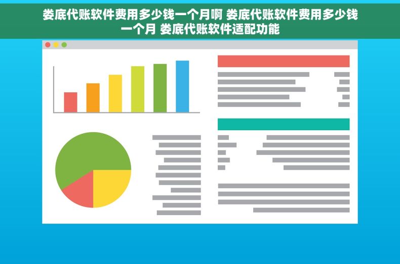 娄底代账软件费用多少钱一个月啊 娄底代账软件费用多少钱一个月 娄底代账软件适配功能
