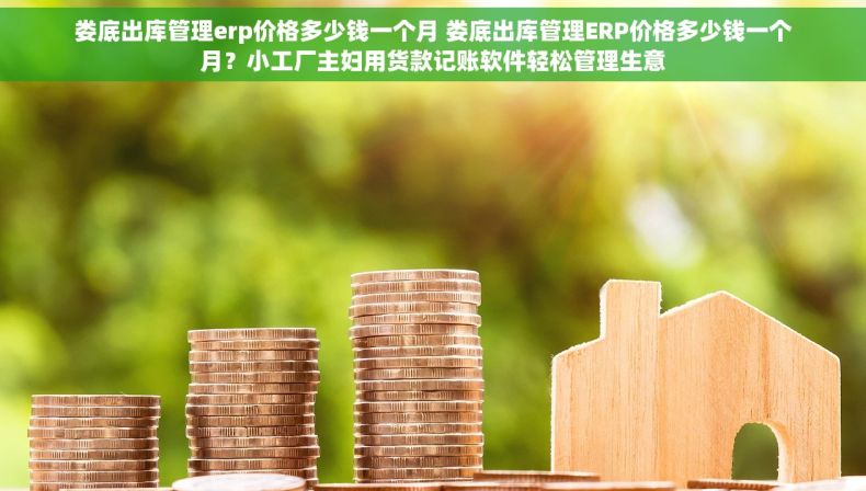 娄底出库管理erp价格多少钱一个月 娄底出库管理ERP价格多少钱一个月？小工厂主妇用货款记账软件轻松管理生意