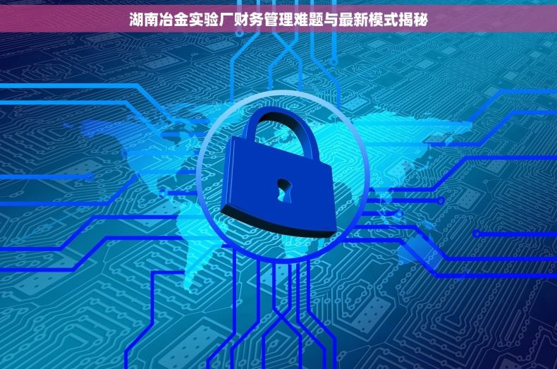 湖南冶金实验厂财务管理难题与最新模式揭秘