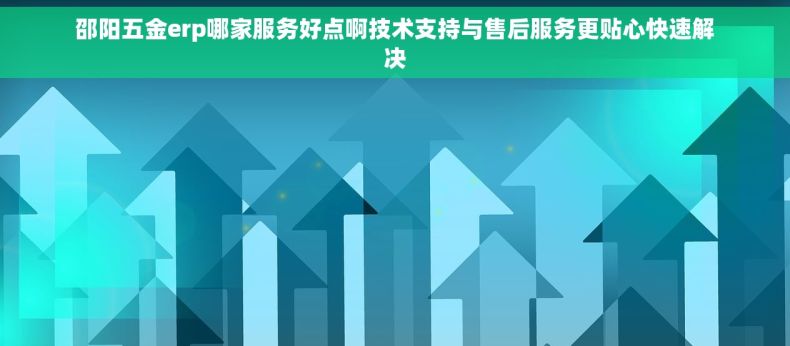 邵阳五金erp哪家服务好点啊技术支持与售后服务更贴心快速解决