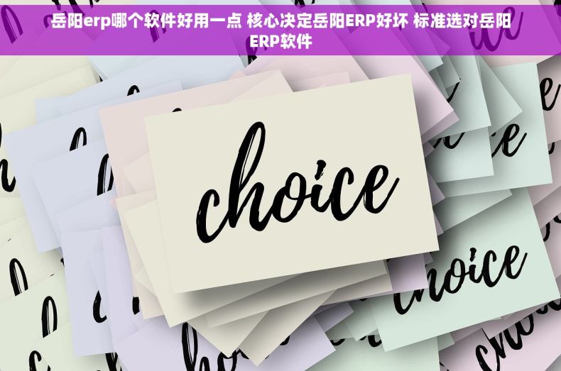 岳阳erp哪个软件好用一点 核心决定岳阳ERP好坏 标准选对岳阳ERP软件