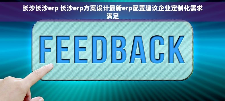 长沙长沙erp 长沙erp方案设计最新erp配置建议企业定制化需求满足