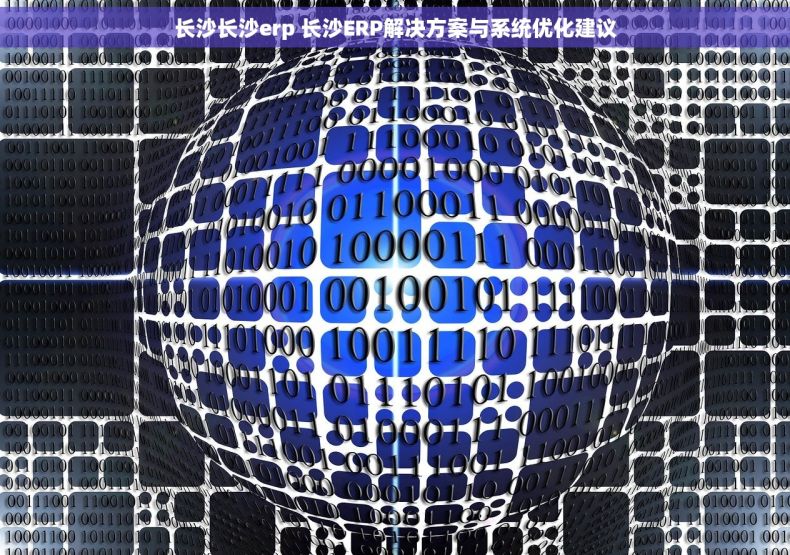 长沙长沙erp 长沙ERP解决方案与系统优化建议