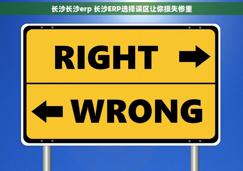 长沙长沙erp 长沙ERP选择误区让你损失惨重