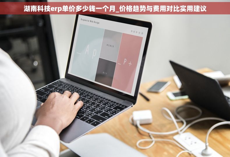 湖南科技erp单价多少钱一个月_价格趋势与费用对比实用建议