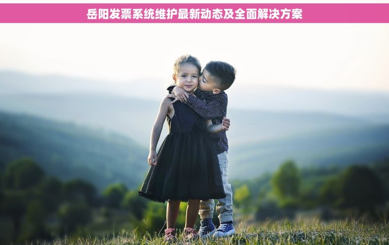 岳阳发票系统维护最新动态及全面解决方案