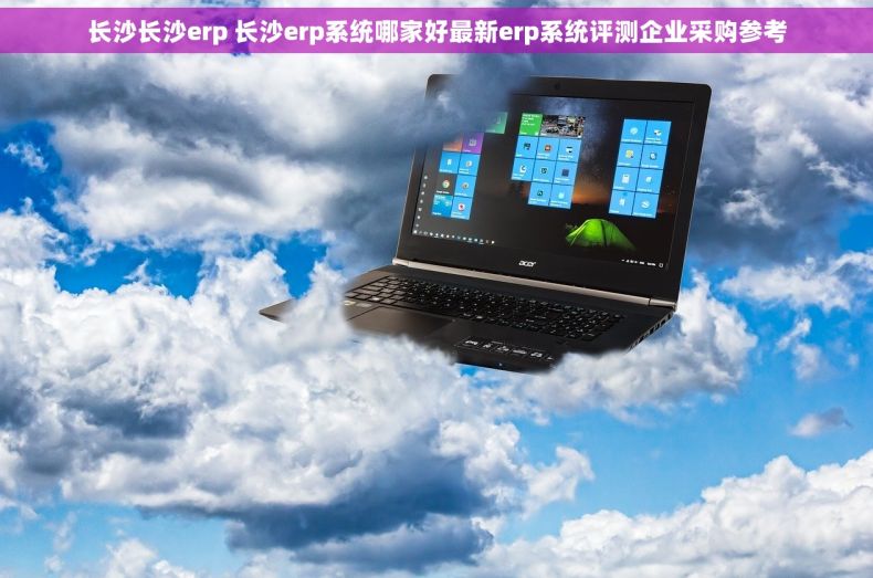 长沙长沙erp 长沙erp系统哪家好最新erp系统评测企业采购参考
