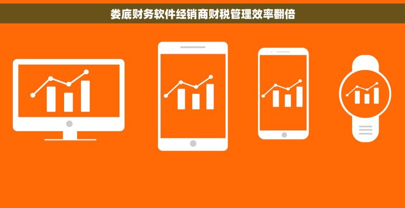 娄底财务软件经销商财税管理效率翻倍