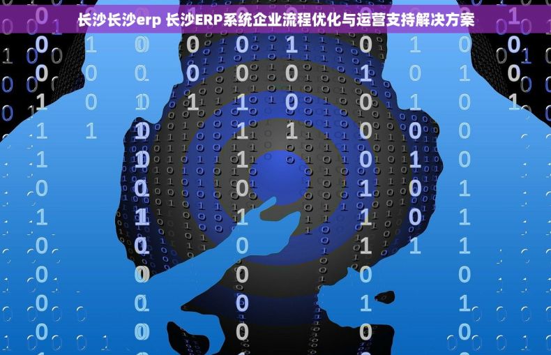 长沙长沙erp 长沙ERP系统企业流程优化与运营支持解决方案