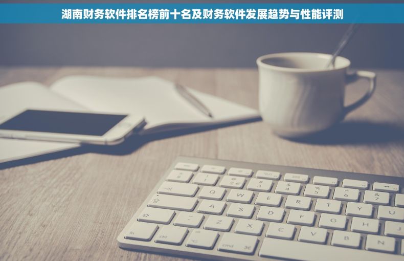 湖南财务软件排名榜前十名及财务软件发展趋势与性能评测
