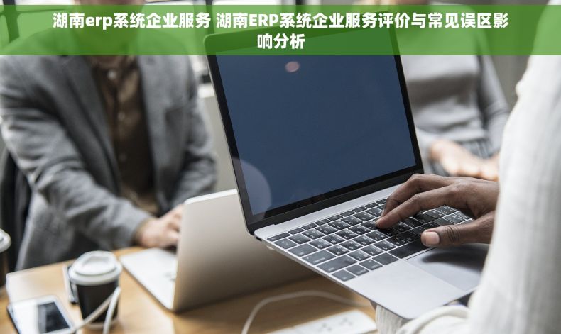 湖南erp系统企业服务 湖南ERP系统企业服务评价与常见误区影响分析