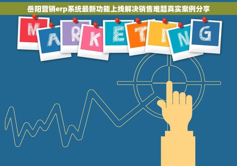 岳阳营销erp系统最新功能上线解决销售难题真实案例分享