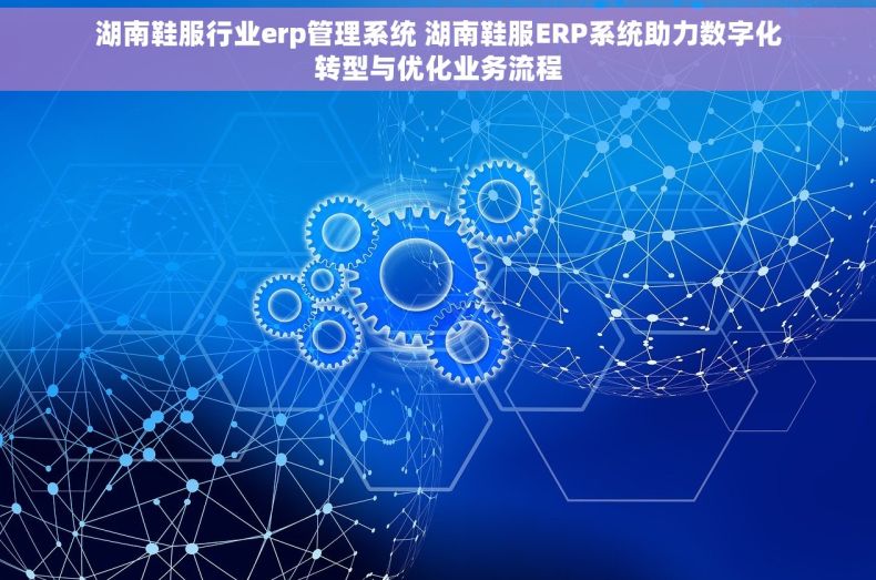 湖南鞋服行业erp管理系统 湖南鞋服ERP系统助力数字化转型与优化业务流程