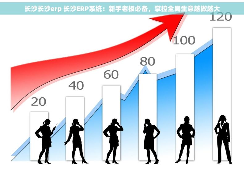 长沙长沙erp 长沙ERP系统：新手老板必备，掌控全局生意越做越大