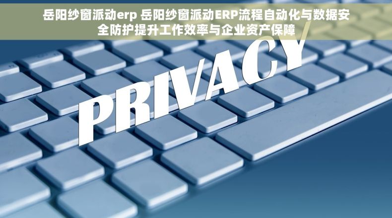 岳阳纱窗派动erp 岳阳纱窗派动ERP流程自动化与数据安全防护提升工作效率与企业资产保障