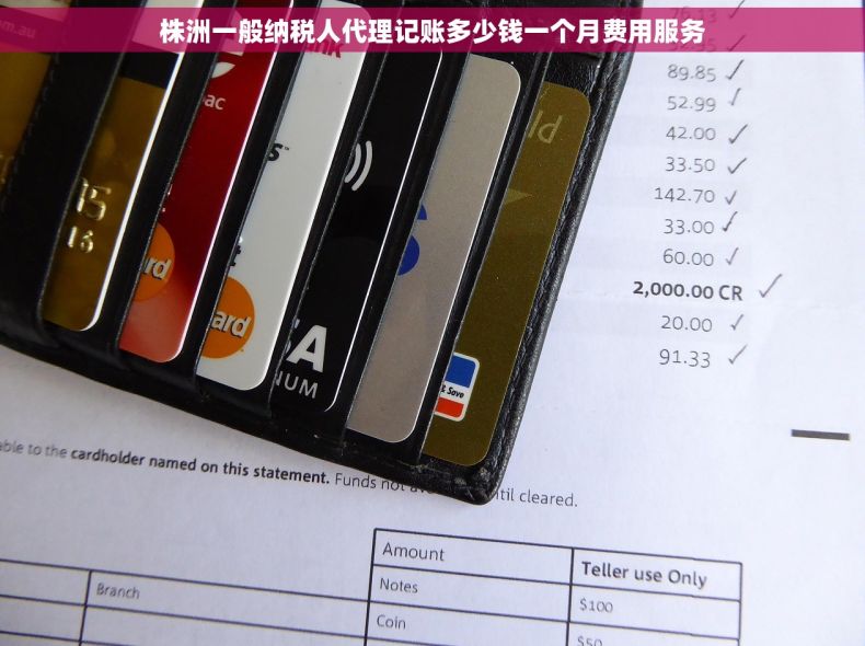 株洲一般纳税人代理记账多少钱一个月费用服务