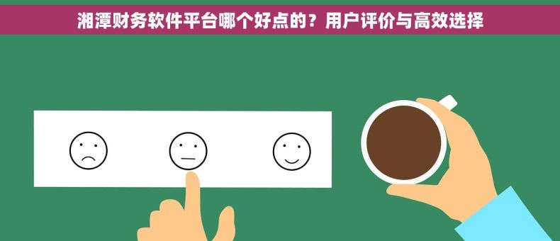 湘潭财务软件平台哪个好点的？用户评价与高效选择