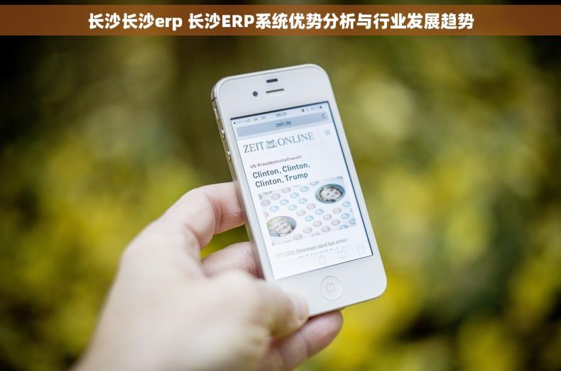 长沙长沙erp 长沙ERP系统优势分析与行业发展趋势