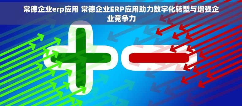 常德企业erp应用 常德企业ERP应用助力数字化转型与增强企业竞争力