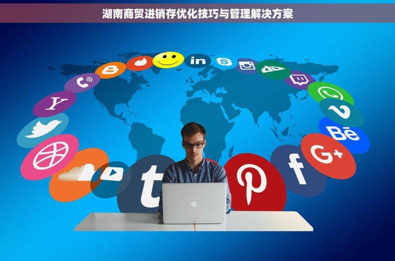 湖南商贸进销存优化技巧与管理解决方案