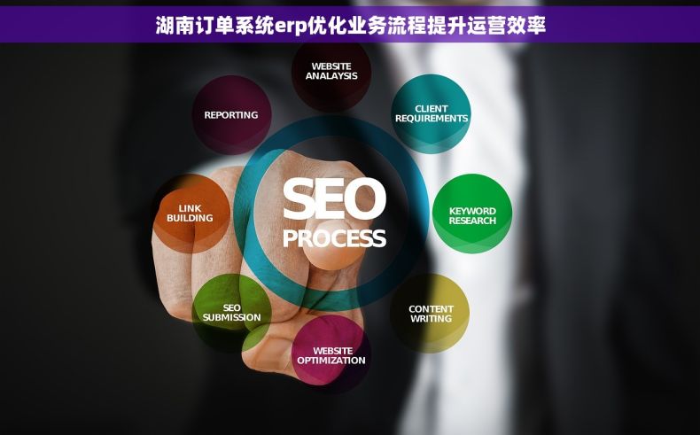湖南订单系统erp优化业务流程提升运营效率