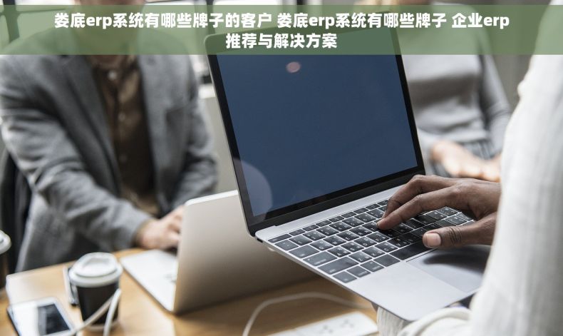 娄底erp系统有哪些牌子的客户 娄底erp系统有哪些牌子 企业erp推荐与解决方案