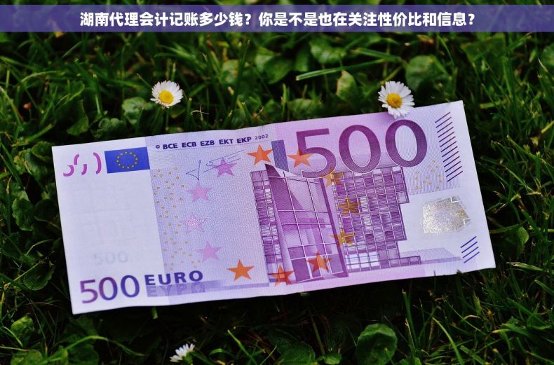 湖南代理会计记账多少钱？你是不是也在关注性价比和信息？
