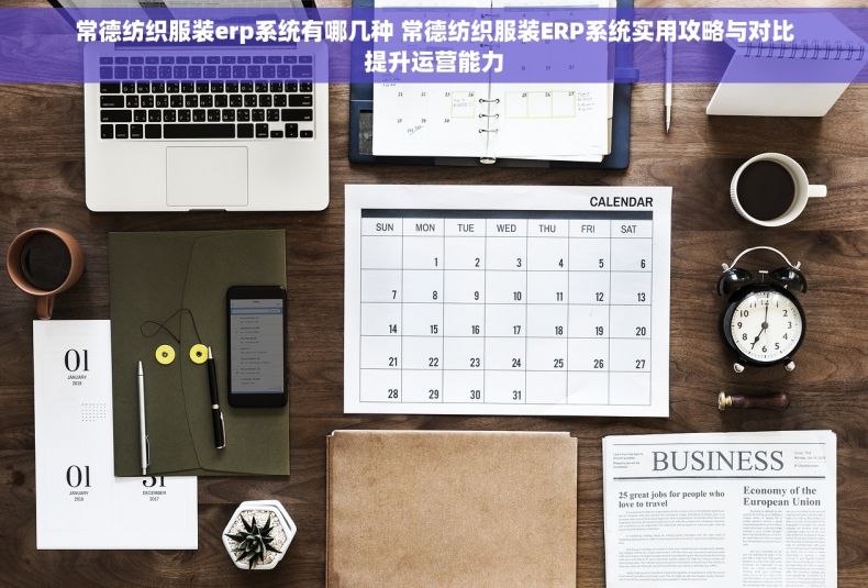 常德纺织服装erp系统有哪几种 常德纺织服装ERP系统实用攻略与对比提升运营能力