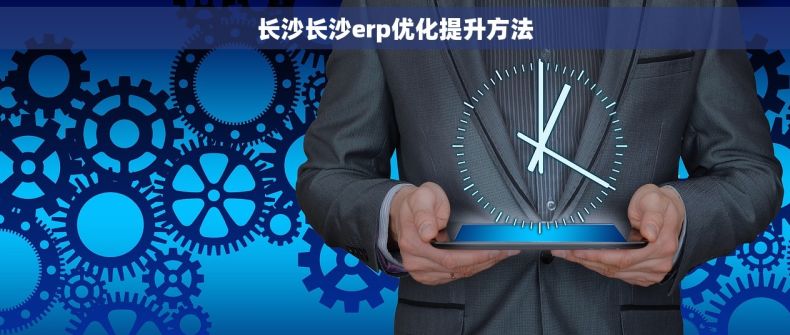长沙长沙erp优化提升方法