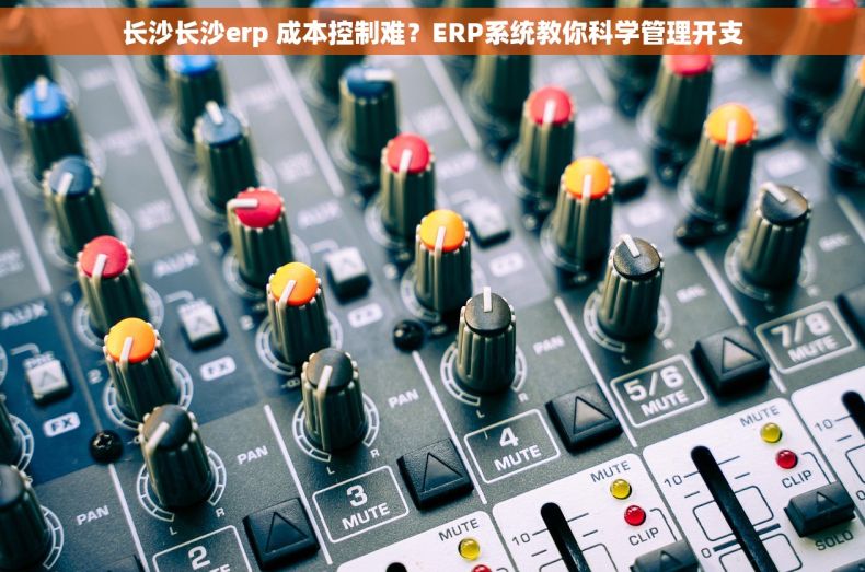 长沙长沙erp 成本控制难？ERP系统教你科学管理开支