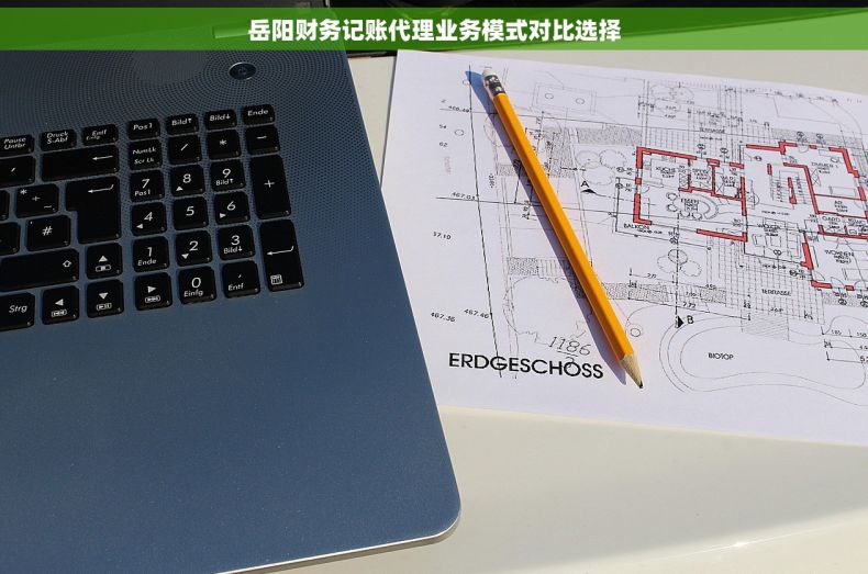 岳阳财务记账代理业务模式对比选择