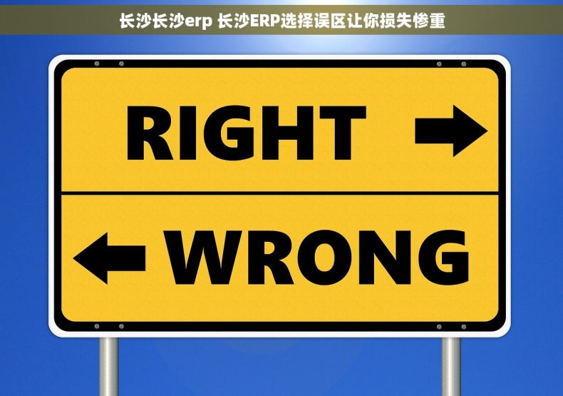 长沙长沙erp 长沙ERP选择误区让你损失惨重