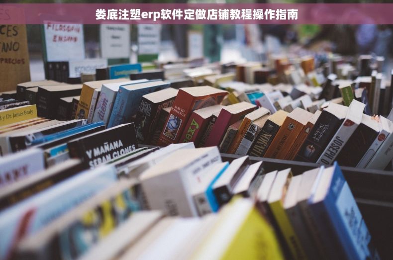 娄底注塑erp软件定做店铺教程操作指南