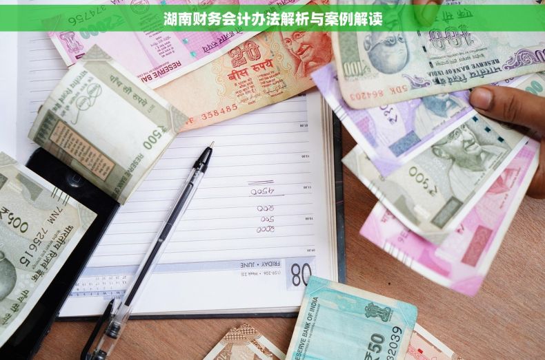 湖南财务会计办法解析与案例解读