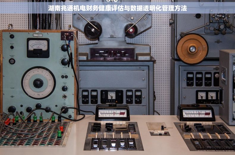 湖南兆通机电财务健康评估与数据透明化管理方法
