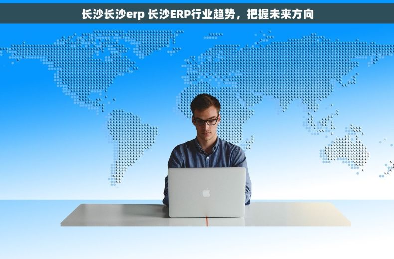长沙长沙erp 长沙ERP行业趋势，把握未来方向