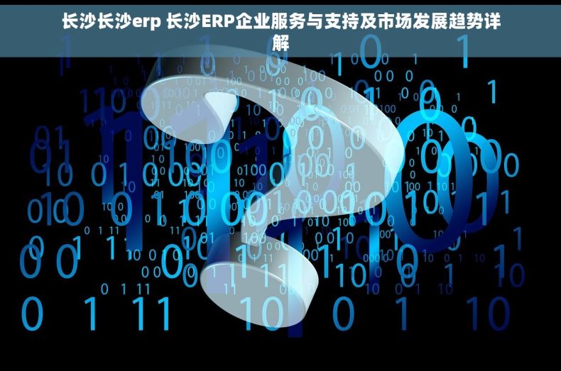 长沙长沙erp 长沙ERP企业服务与支持及市场发展趋势详解