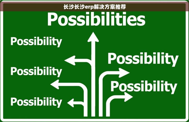 长沙长沙erp解决方案推荐