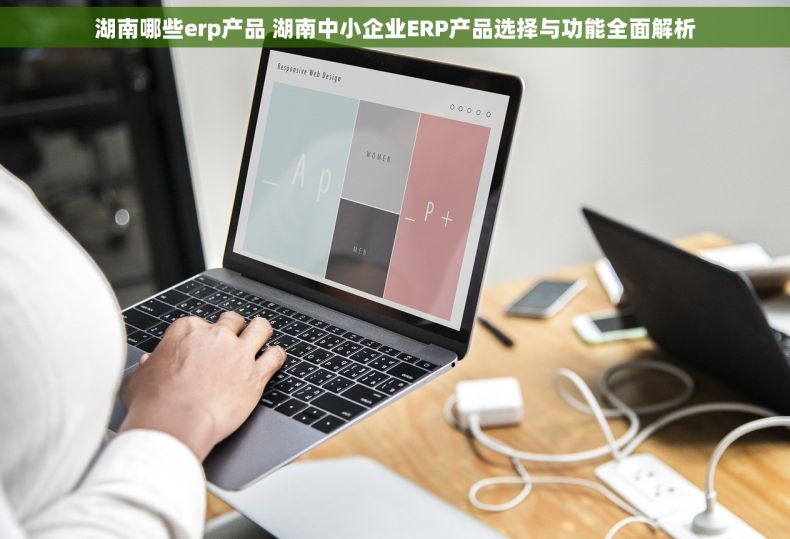 湖南哪些erp产品 湖南中小企业ERP产品选择与功能全面解析