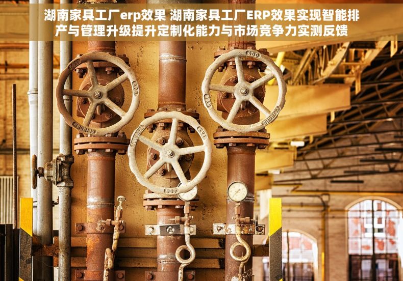 湖南家具工厂erp效果 湖南家具工厂ERP效果实现智能排产与管理升级提升定制化能力与市场竞争力实测反馈