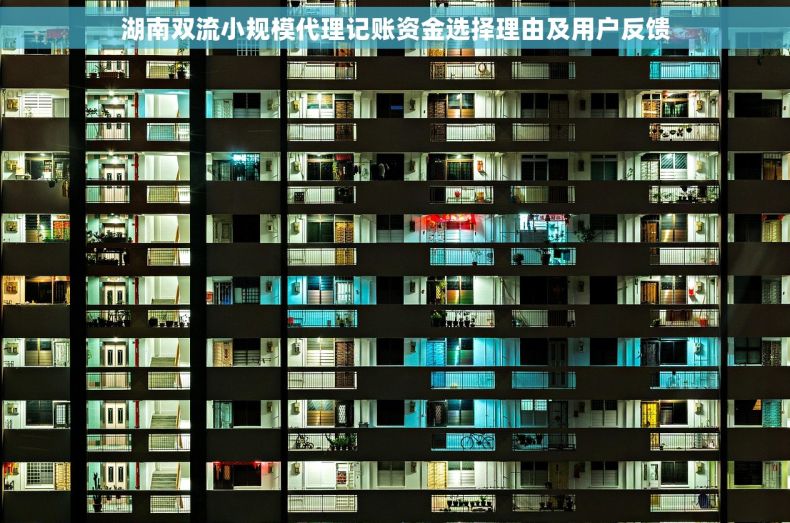 湖南双流小规模代理记账资金选择理由及用户反馈