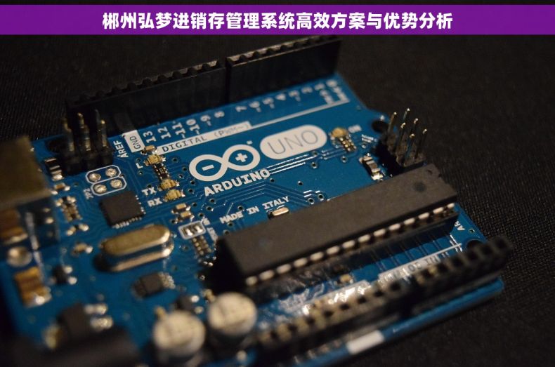 郴州弘梦进销存管理系统高效方案与优势分析
