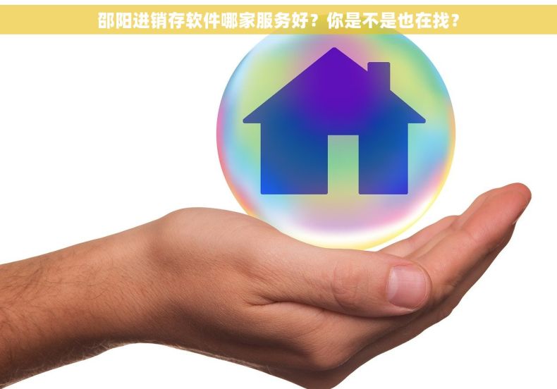邵阳进销存软件哪家服务好？你是不是也在找？