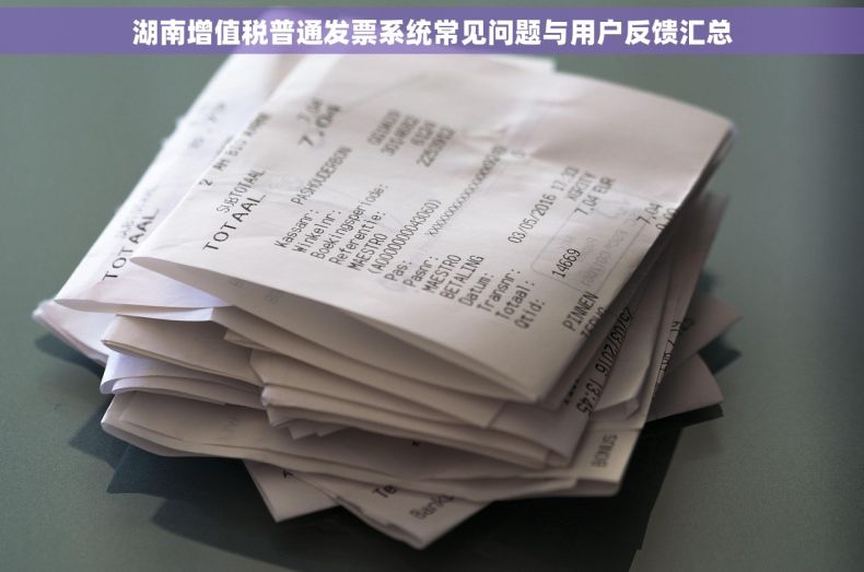湖南增值税普通发票系统常见问题与用户反馈汇总