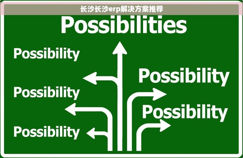 长沙长沙erp解决方案推荐