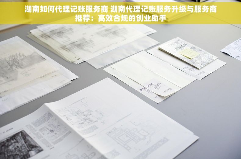 湖南如何代理记账服务商 湖南代理记账服务升级与服务商推荐：高效合规的创业助手