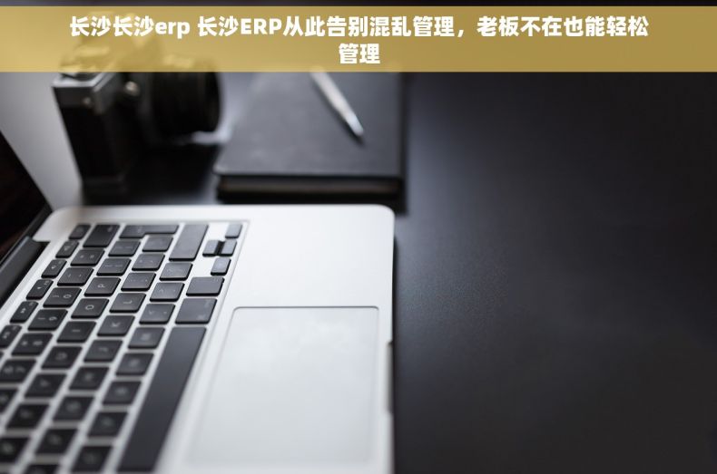 长沙长沙erp 长沙ERP从此告别混乱管理，老板不在也能轻松管理